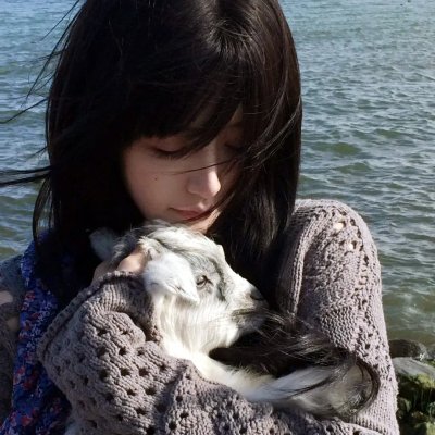 铁蹄慈泪 海报